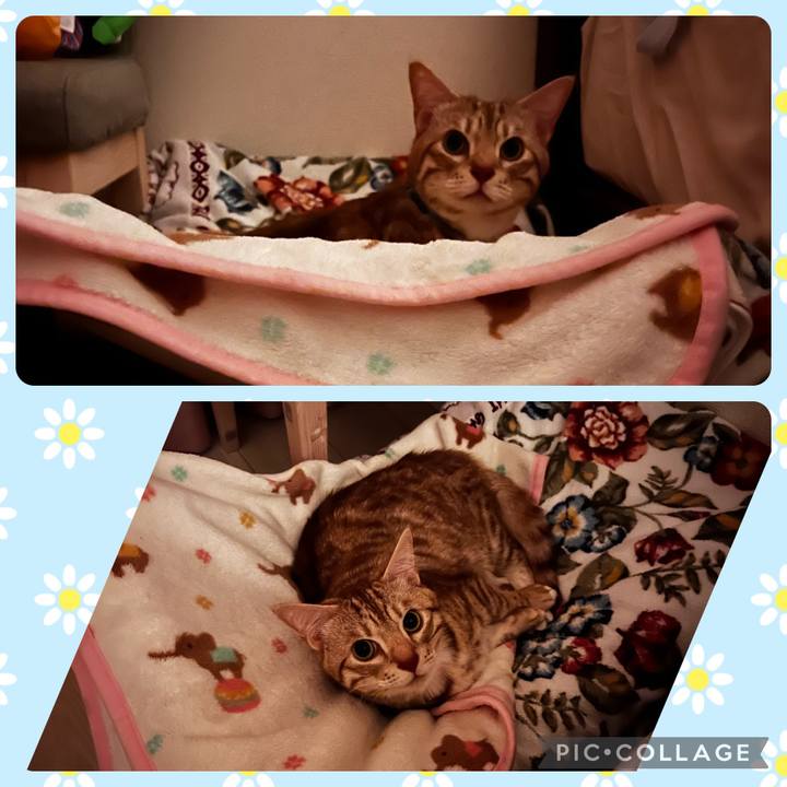 0ca2e51a 9c88 4b64 b4a3 dc86f9478642 1717409851194