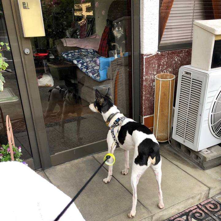 0ca2e9f2 860a 4372 93f7 d86c9119b259 1556577427805