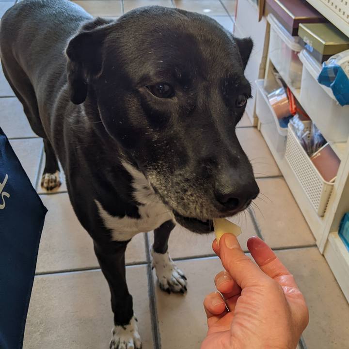 0ca2fe70 a7f8 45fa b514 ad7d63585ec3 1666955087806