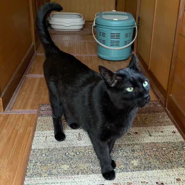 0ca30e4a 6270 49b8 a115 22b59c10cd26 1589504338143