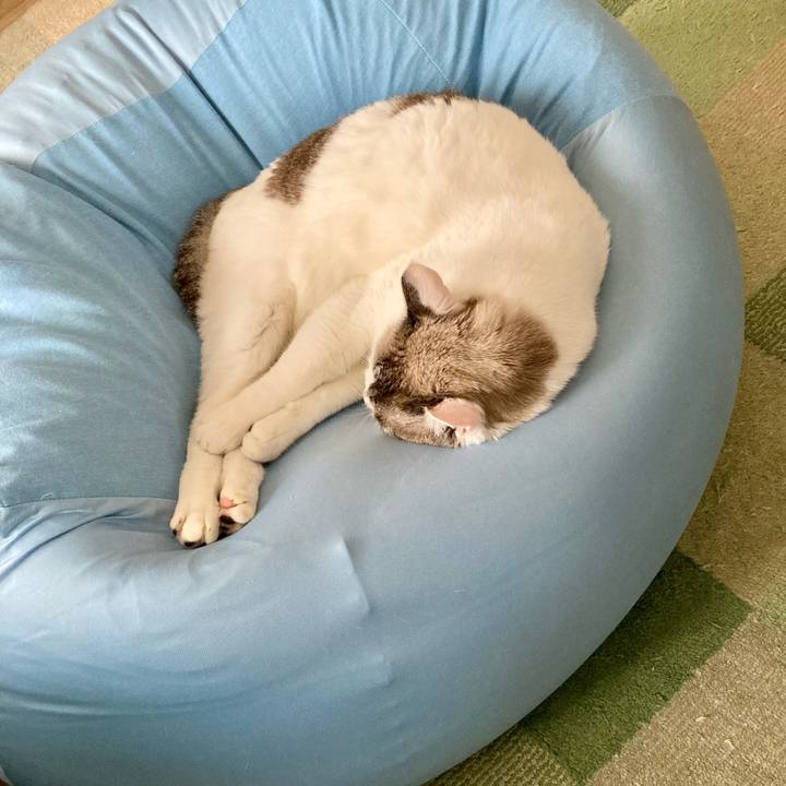 0ca345fc 50dd 4d82 b158 fb91926643e6 1702695291135