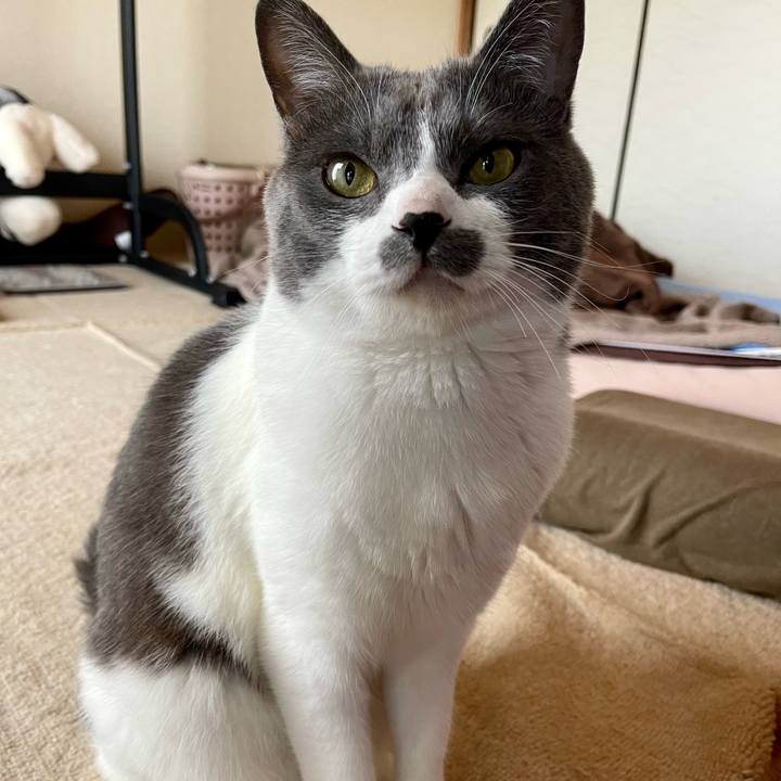 0ca35bb2 406b 41e8 8bc7 15a1c32ef37f 1653180176535