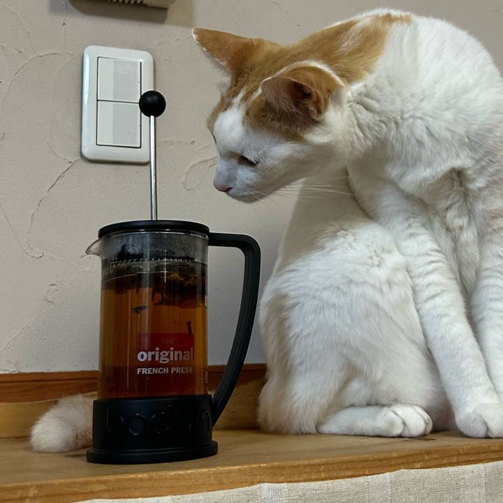 0ca3971d 230f 4c22 a1e8 f76bd2d30d93 1686691621228