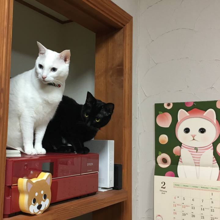 0ca3b8d7 667c 4809 82f3 db9bad1e8c3e 1519049467856