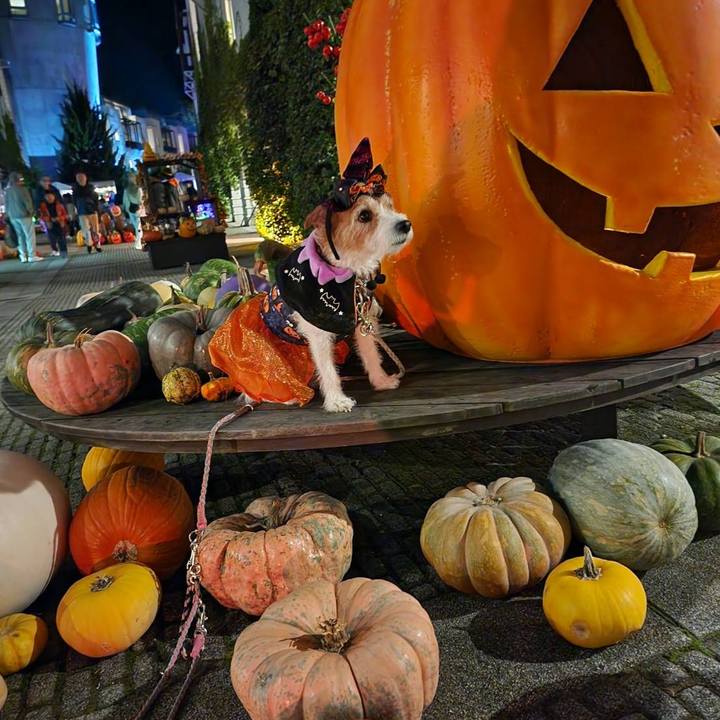 0ca3c22e 0071 4f41 936c c8b97ef2cbf7 1728864063843