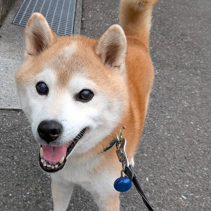 0ca3c550 1d05 48e3 b590 adf4f5616d31 1772369526001