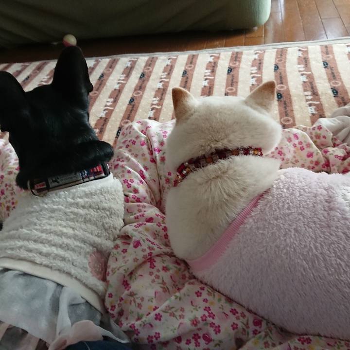 0ca41a60 6c13 4c67 b45e acb6c9c2d082 1580520664120