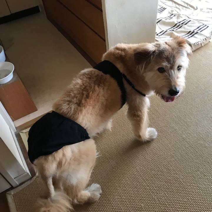 0ca43cce 8bc3 4b15 829c 387f0e6d0e3c 1531523085436