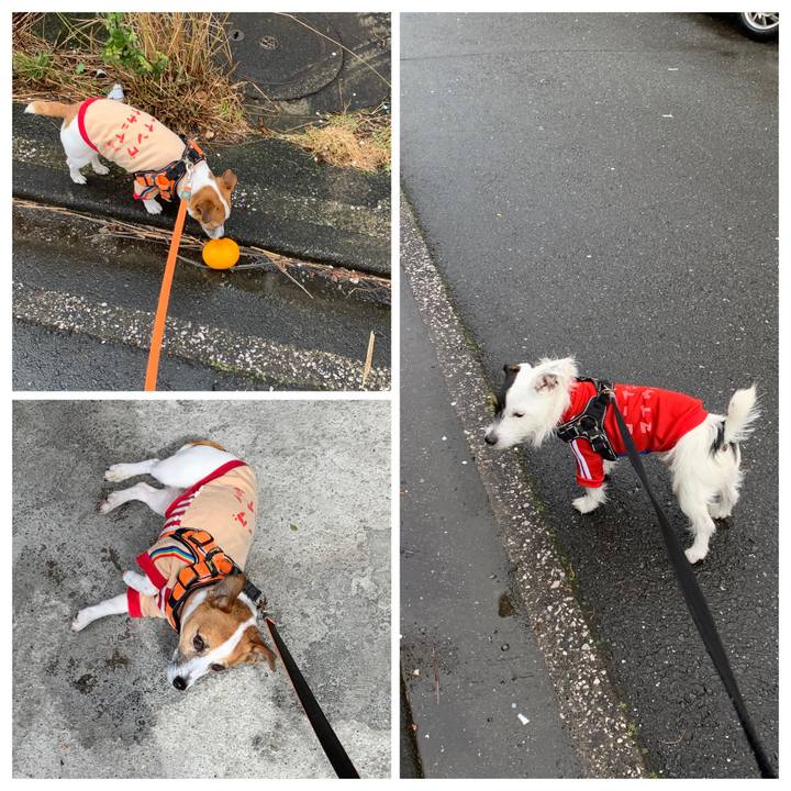 0ca46507 05c5 49ea 8cd7 e69ab68b6458 1581558268850