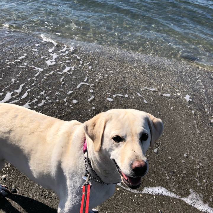 0ca4902d cc64 42ff 8d00 a9a92b59ac08 1604493649911