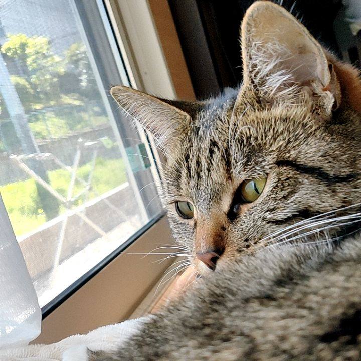 0ca51b62 09f4 402d abcc fc498468330f 1682137735422