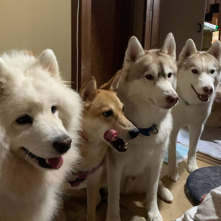 0ca5630b bb5f 424b a9d2 1287782c1564 1630130807752