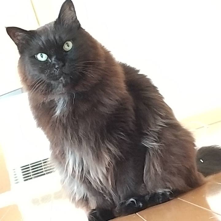 0ca575a3 8fe1 4781 9c02 c0ef57f781e9 1680483472462