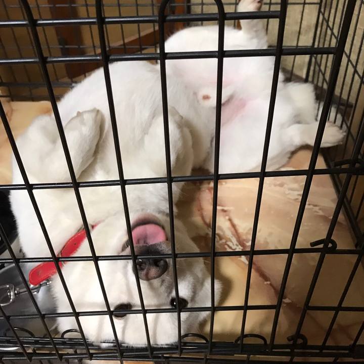 0ca586d3 3851 4ee7 9485 08ca88a94e05 1532244829424