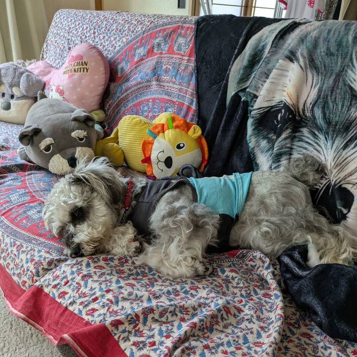 0ca62a6a f4d2 4136 a566 73dcab49b5ee 1751328814903