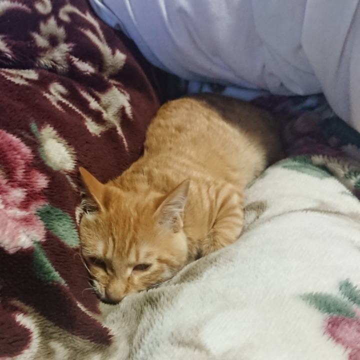 0ca63347 77c6 4244 9491 2050b9a03d2c 1635910053983