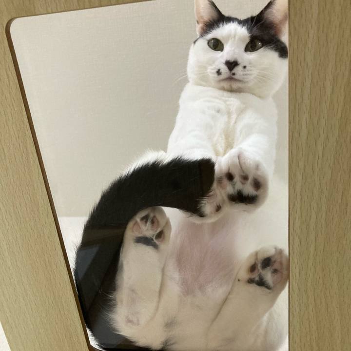 0ca6597f 4d20 4b60 8137 32dbeb30a67a 1770298697012