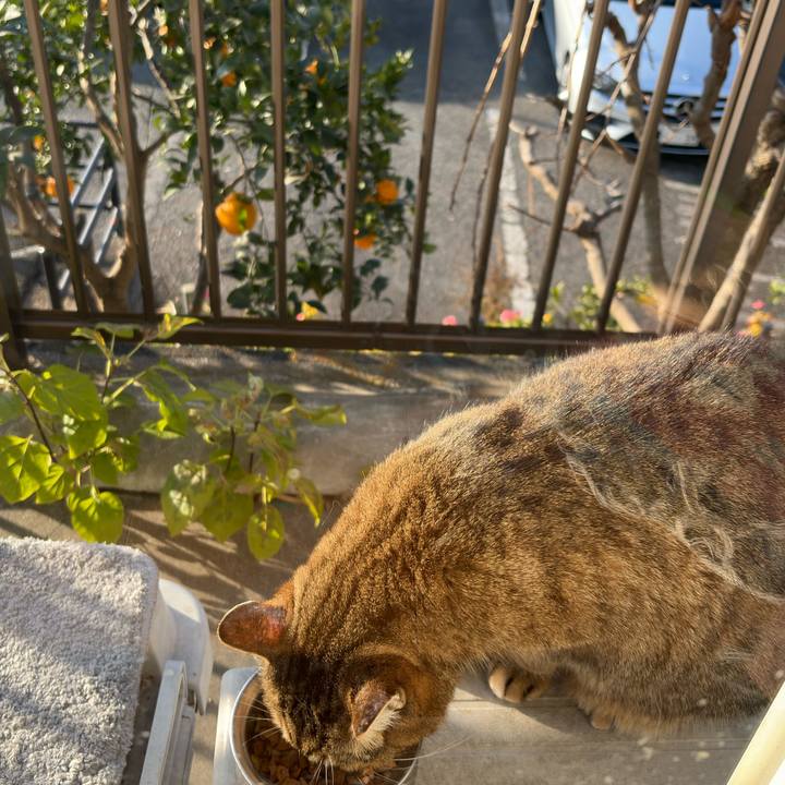 0ca69032 88bb 47f1 ab5b f183bf120a04 1767138415053