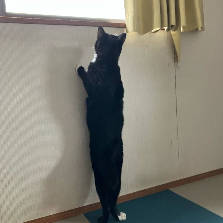 0ca6cf13 9aa6 4344 8256 9d7fdc1e9a4b 1761025418473