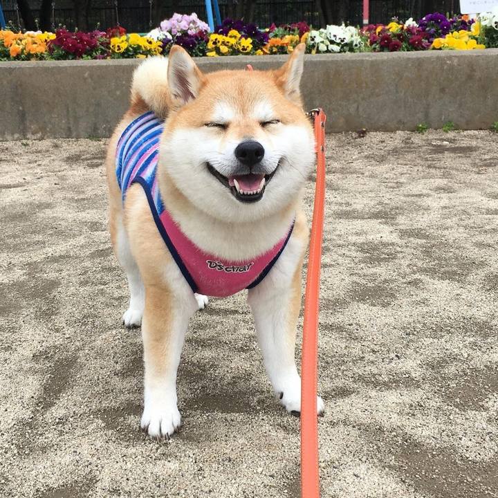 0ca6d109 00db 4149 9613 28353dbc95eb 1614995715620