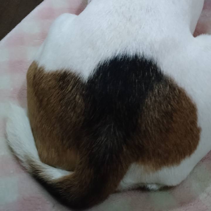 0ca6e8b4 e58a 4113 bb90 f7f14b622916 1666759425202