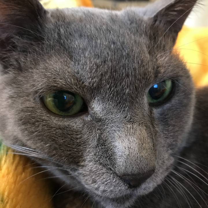 0ca717dc 4616 4347 b21f 8f74d6c18c3a 1520072784104