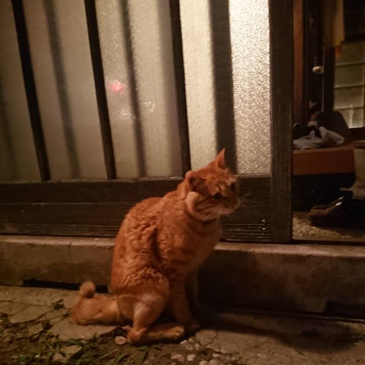 0ca73c8d 8ea8 4eb7 9647 a3745553ecda 1655378868747