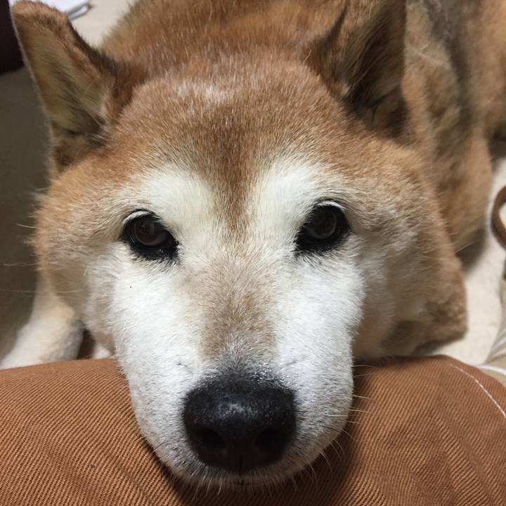 0ca75945 86ba 433f 8217 bce6d5cf03d7 1561893702360