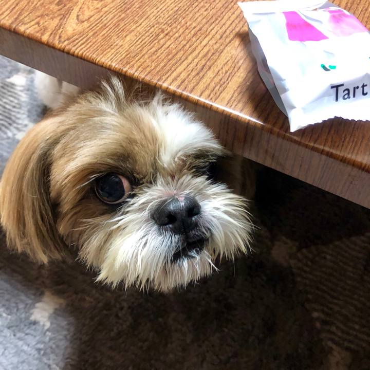 0ca7623d 59ec 4dd8 bb98 3dd1327c6bd7 1567855510243