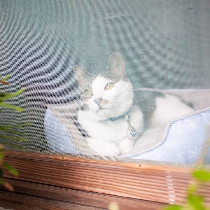 0ca7759d 2f1b 40e9 89f5 b4f59fb9a07e 1590993357712