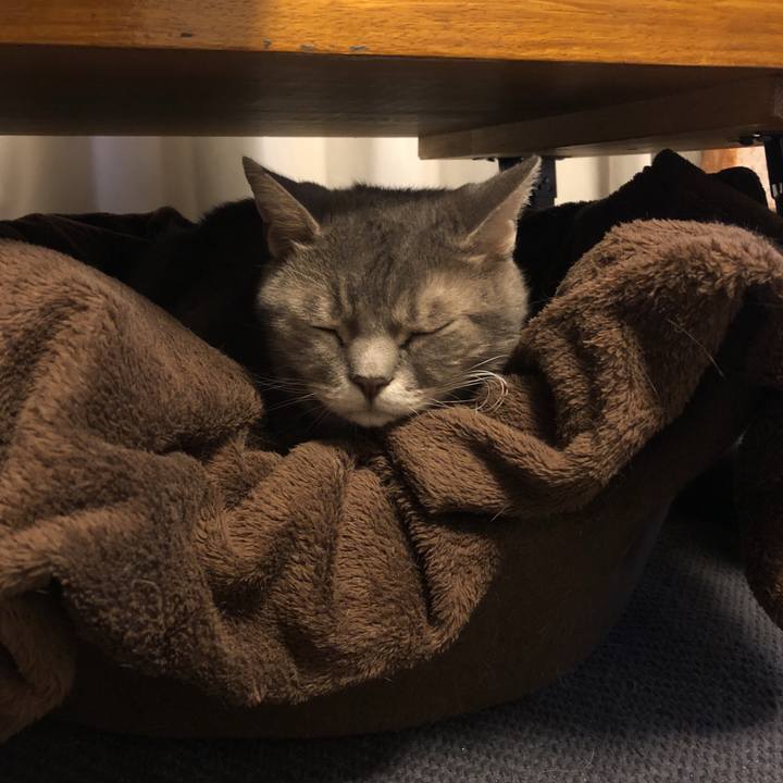 0ca7844a 4518 4fe3 8fde 640db502f90c 1537544651781