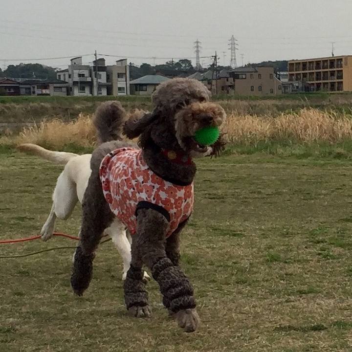 0ca7ae22 ff68 492b be57 75c92a43034c 1555680849011