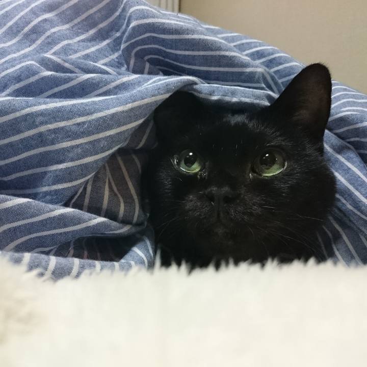 0ca7bf6b 0d85 4f94 9209 b839e4b128d0 1664761249695