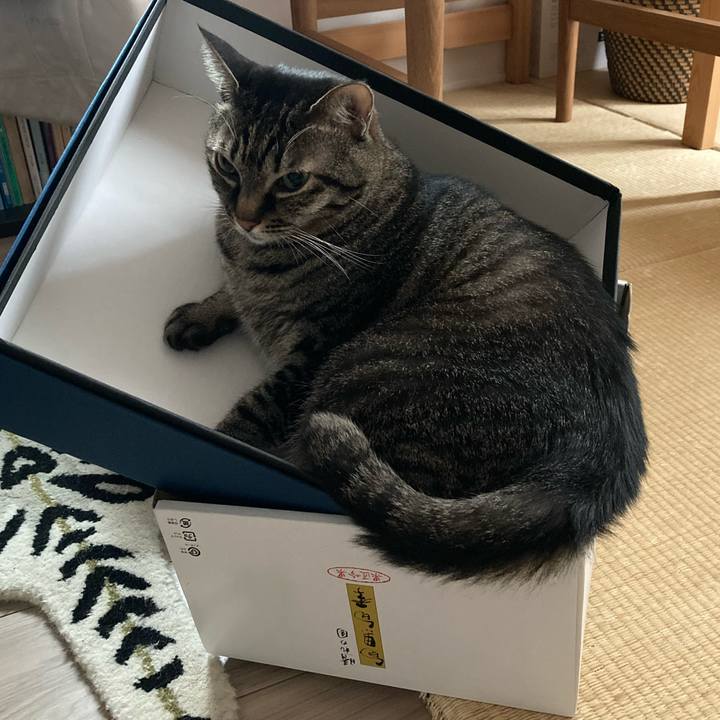 0ca7c643 2fa2 4146 a94f a1e7a176597a 1634431878665