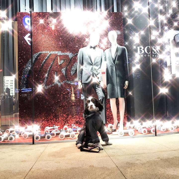 0ca7de42 4dc8 4da9 b5bb 5dbac066dde3 1511448403012