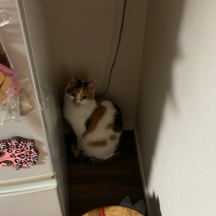 0ca8055d c78f 4238 a0a7 d87f56d0f591 1606660448815