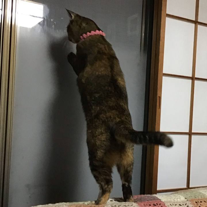 0ca80bbe 8083 4276 9525 633a3ad0b146 1730800675979