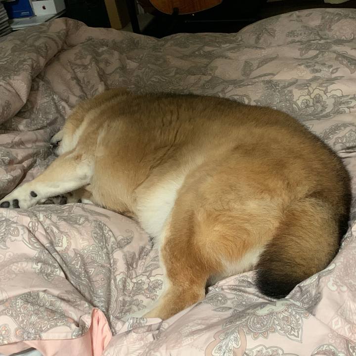 0ca8195e 8040 4a0f 9abc e6c77507d581 1651412609777