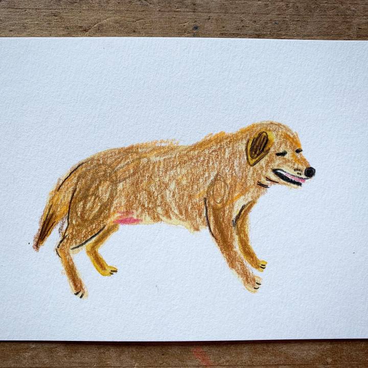 0ca81e1c 0d19 4741 86a1 597d75812e06 1590707873177