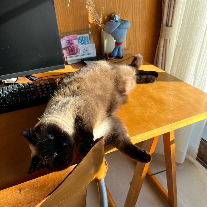 0ca8412d 7547 43d2 8ab3 4744c6c18455 1642836152824