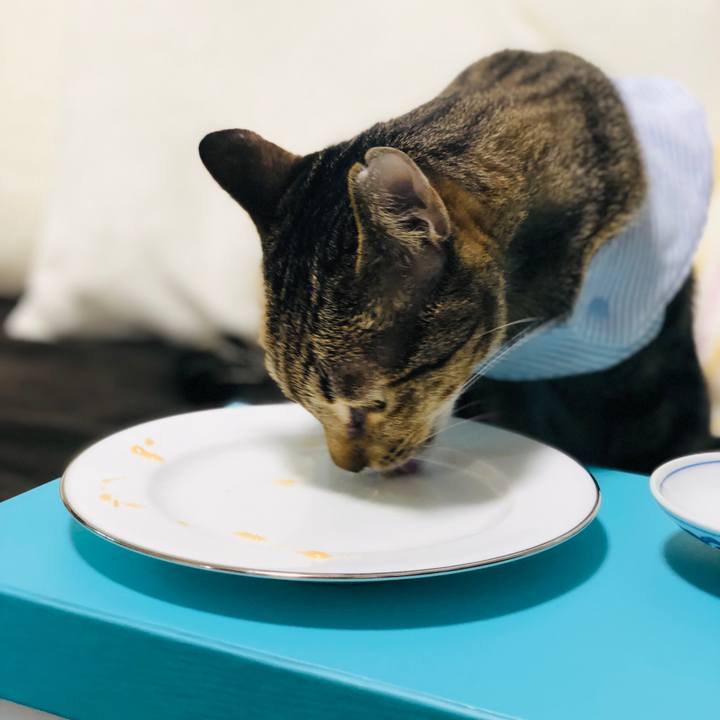 0ca8775c 0e51 40bc 96b8 1c1ac9530bf4 1539172055984