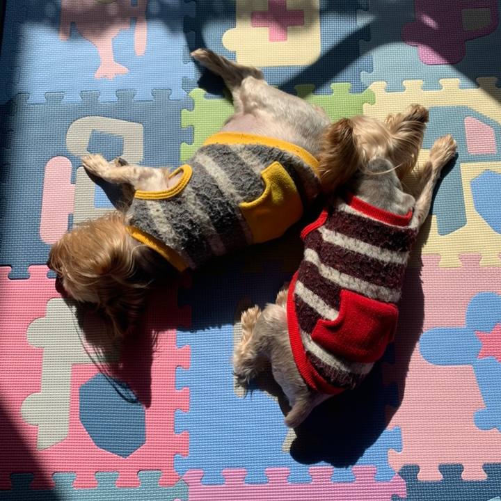 0ca8b400 c038 4f9a 9d5b ce4642e6a62f 1614503506512