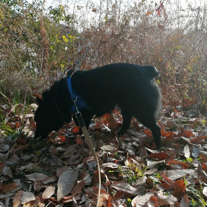 0ca9286e a3d5 405c 814e 5fe06b46b17f 1609632659914