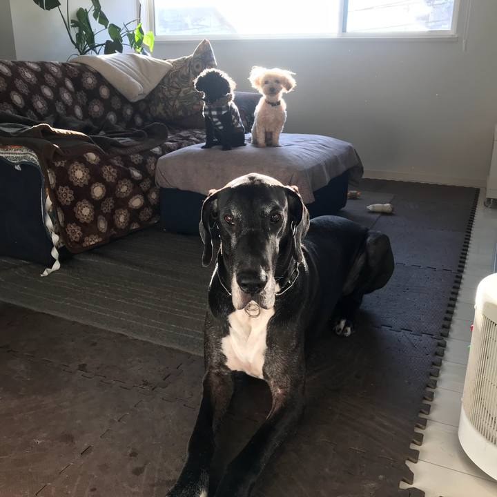 0ca9461a 5d53 40ea ac6b 93f24e9890ba 1512601084872