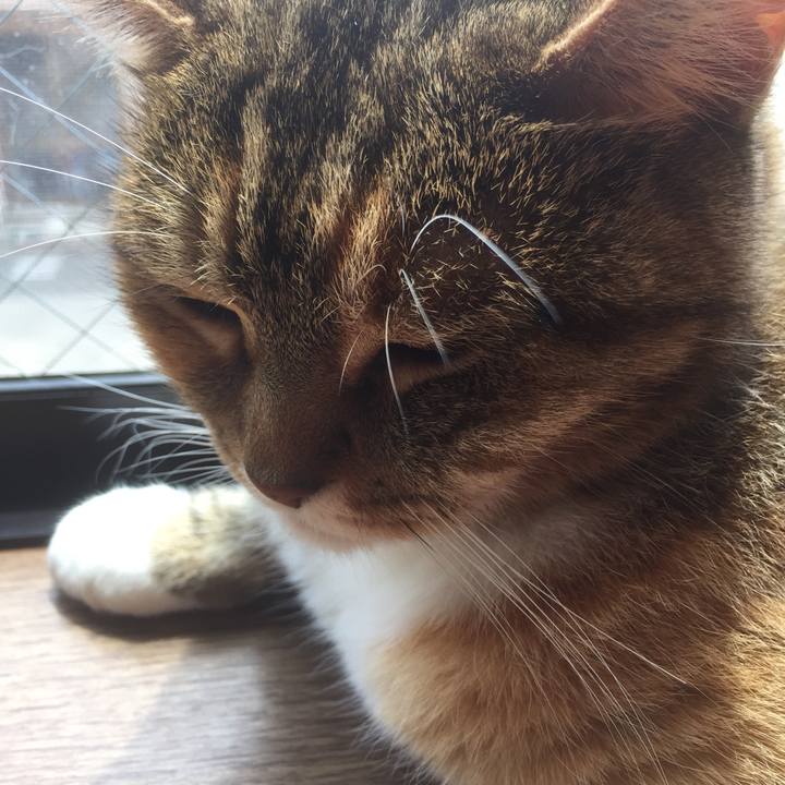 0ca96cd0 0443 45d0 a7fd dd0892d31a52 1556679507833