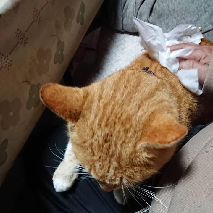 0ca98171 c2b8 4647 8a35 b224f59f2ce0 1573938618967