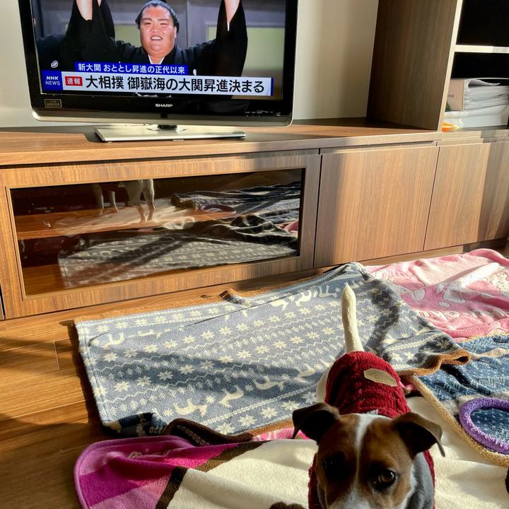 0ca985cb 8e5f 4740 8768 79b85cab0220 1643155605234