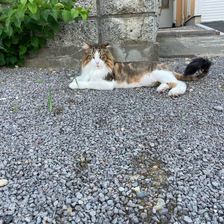 0ca989d9 60e1 4419 a7b5 3b53090561b0 1754515805853