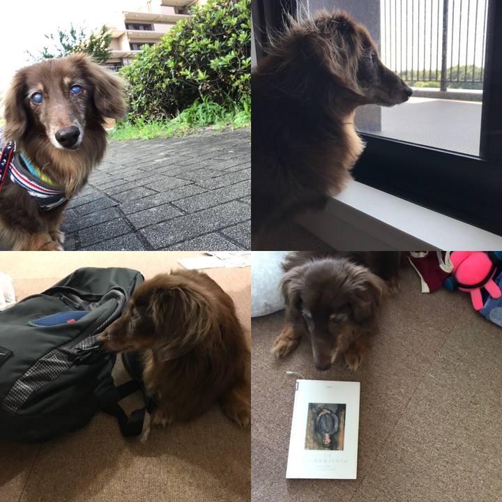 0ca9a224 4929 4144 b94f f31948542067 1532131298242