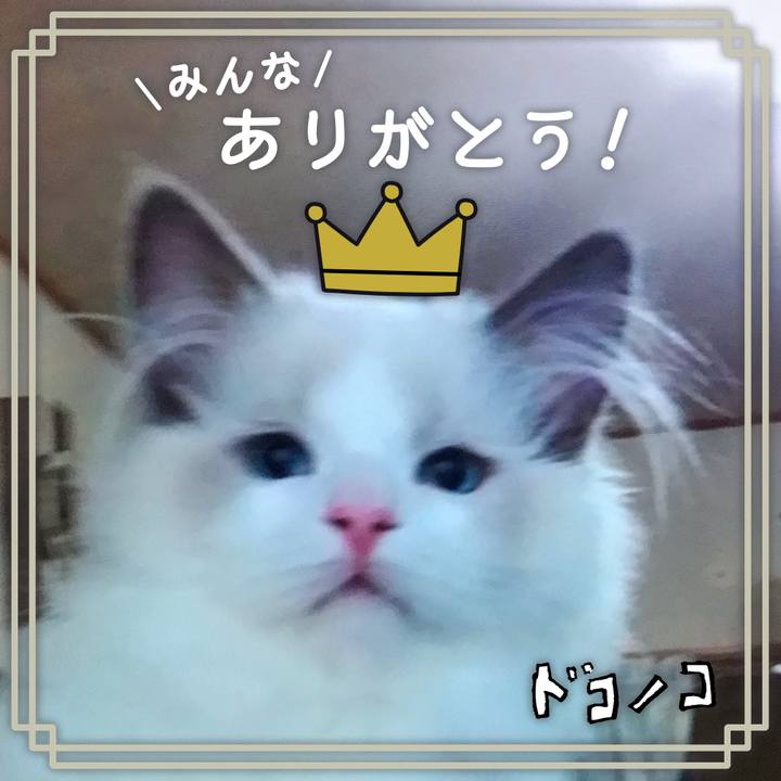 0ca9cfb0 79f7 4d5c b269 240a1f3ea304 1623066331710